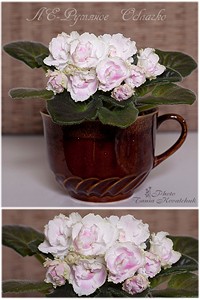 ЛЕ-Румяное Облачко.jpg