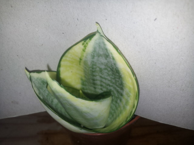 20130916_113841.jpg