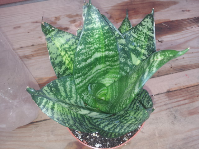 20130916_113047.jpg