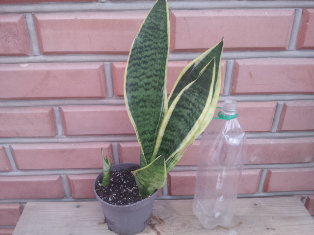 20130916_160522.jpg