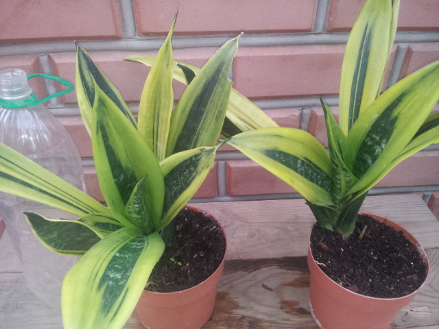 20130916_160007.jpg