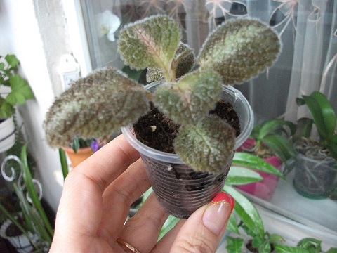 DSCF3751.JPG
