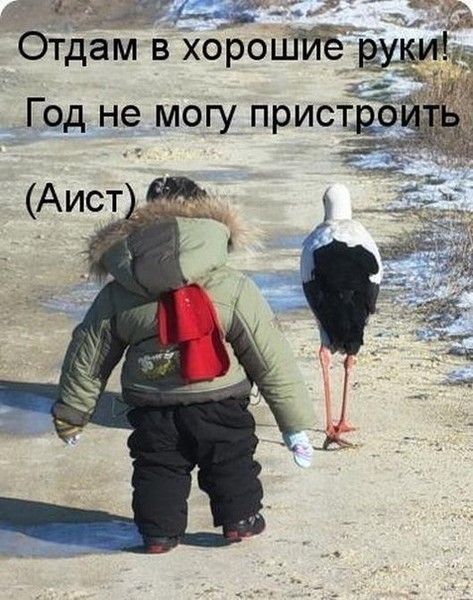 NWG6MORXEJI.jpg