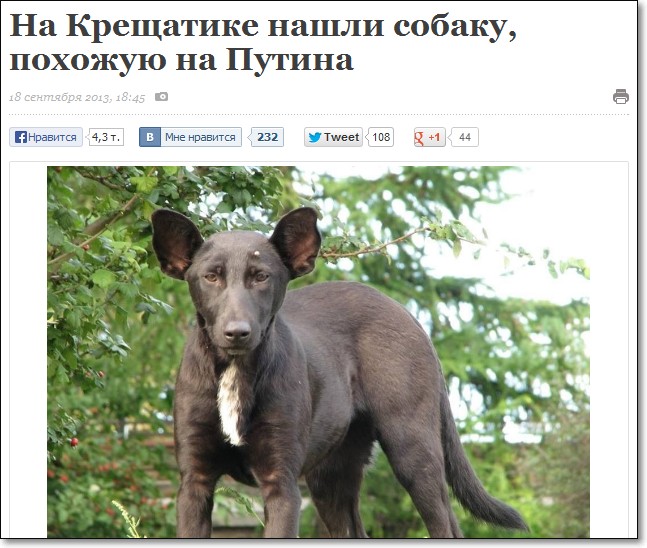 путин.jpg
