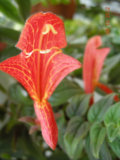 DSCN0635.JPG