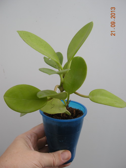 DSCN2572.JPG