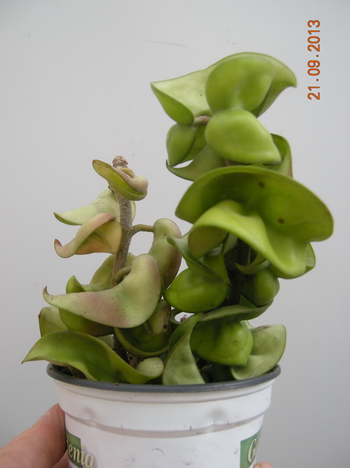DSCN2571.JPG