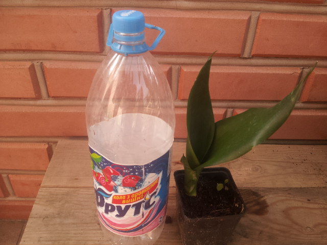 20130923_093610.jpg