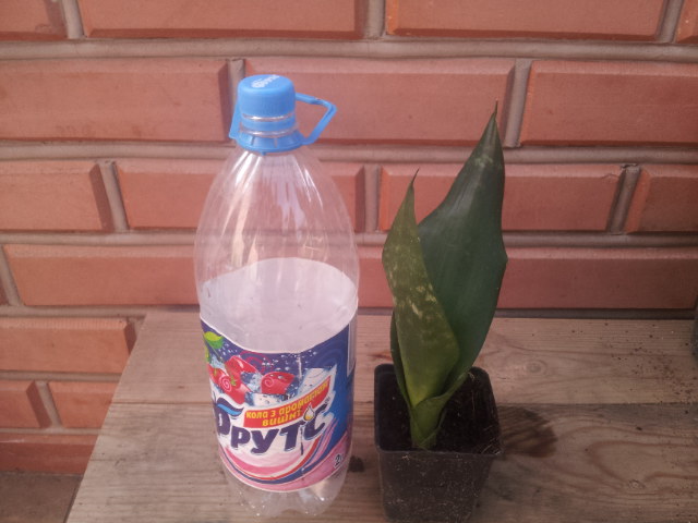 20130923_093601.jpg