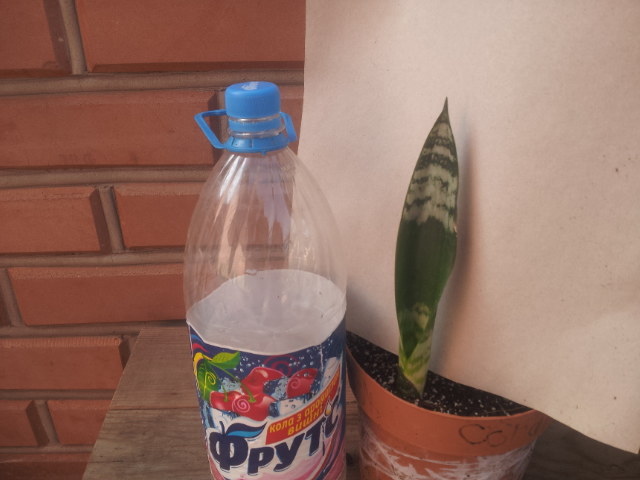 20130923_093708.jpg