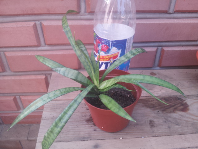 20130923_093239.jpg
