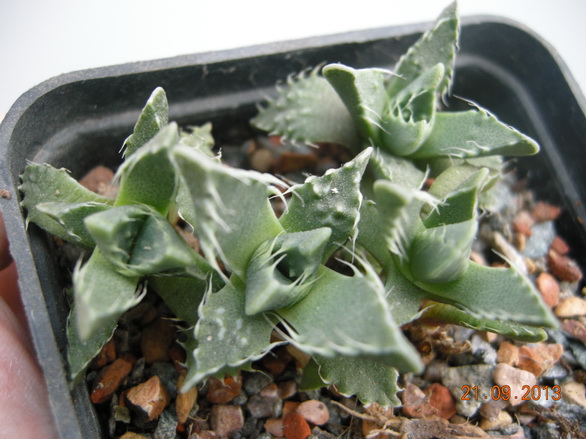 DSCN2554.JPG