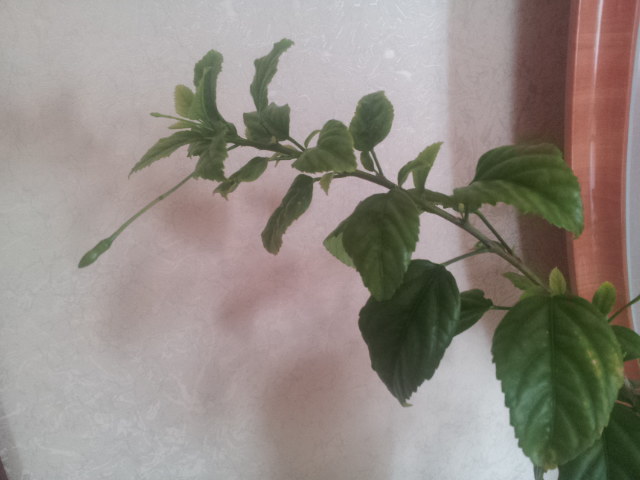 20130923_103658.jpg