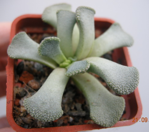 DSCN2556.JPG