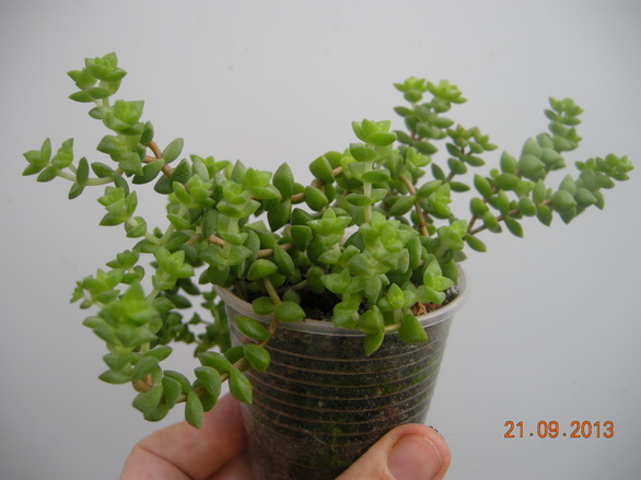 DSCN2559.JPG
