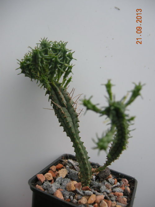 DSCN2560.JPG