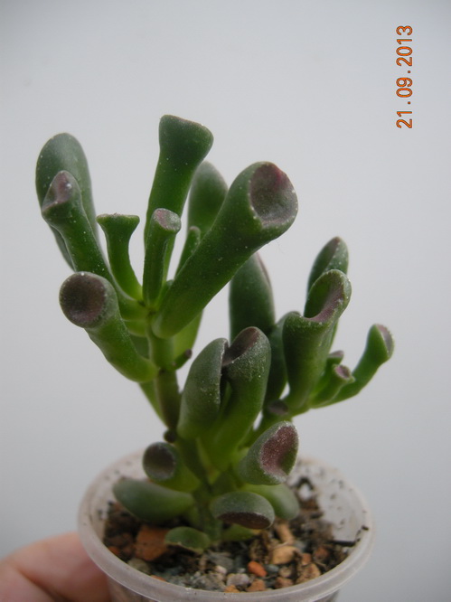 DSCN2561.JPG