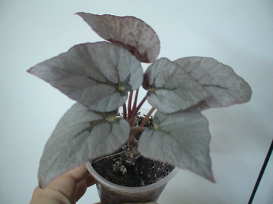 DSC01149а.jpg
