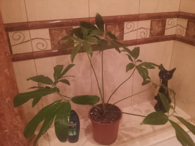 20130926_114614.jpg