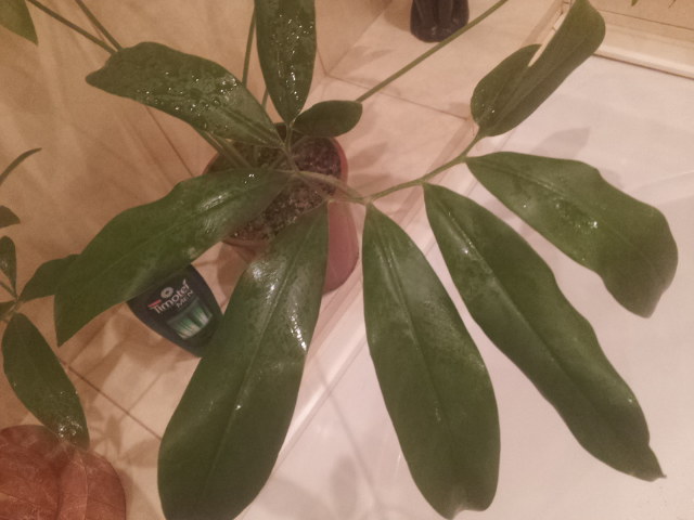 20130926_114722.jpg