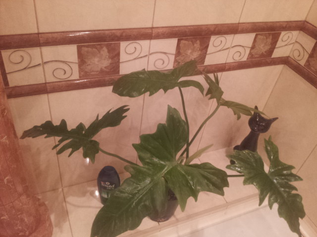 20130926_115132.jpg