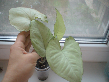 DSC01180а.jpg