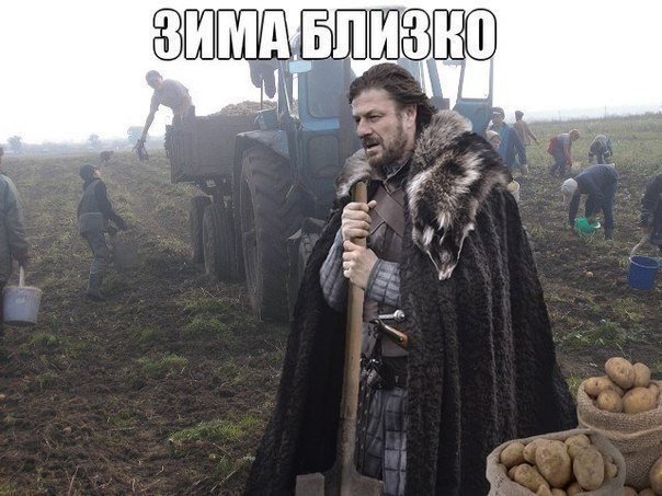 зима.jpg