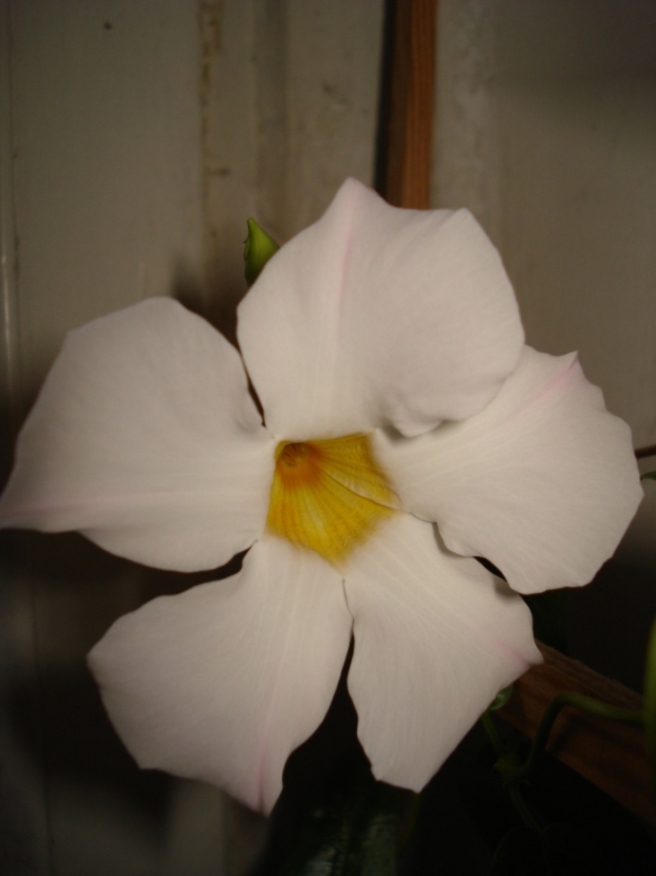 DSC06298.JPG
