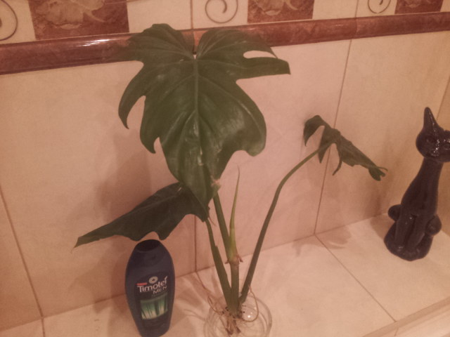 20130928_081000.jpg