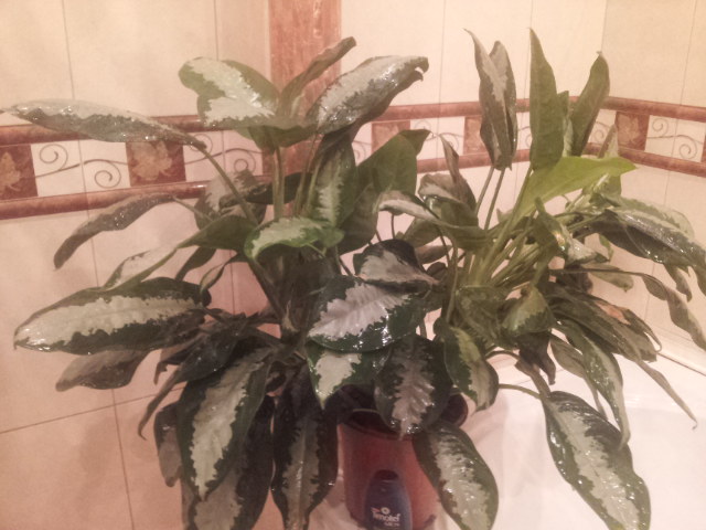 20130928_090101.jpg