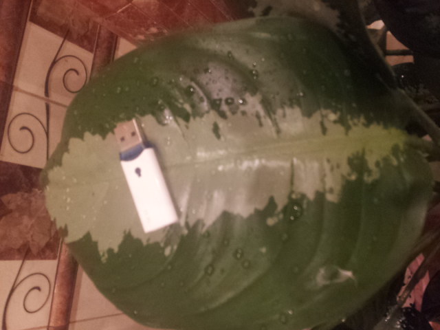 20130928_090222.jpg