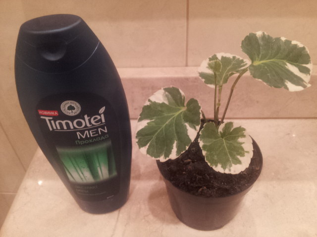 20130930_003829.jpg