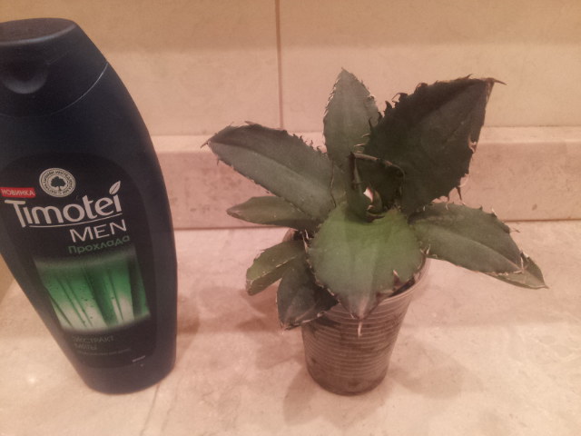 20130930_003858.jpg