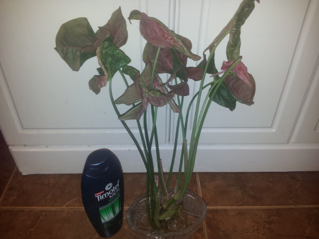 20130930_082836.jpg