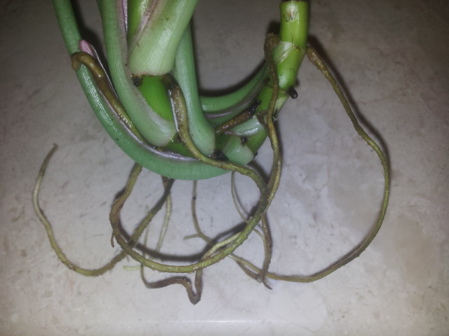 20130930_082846.jpg
