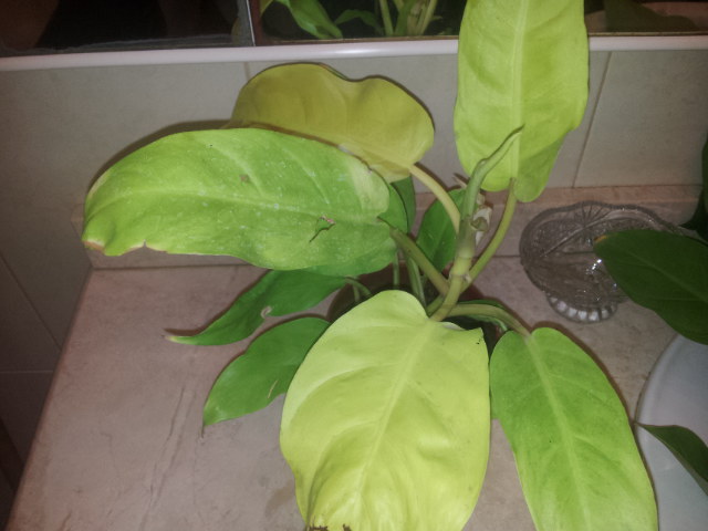 20130930_084200.jpg
