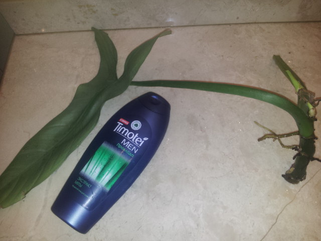 20131001_094610.jpg