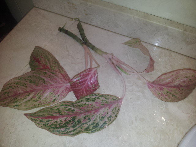 20131001_221450.jpg