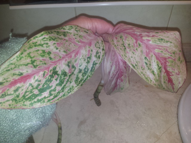20131001_221400.jpg