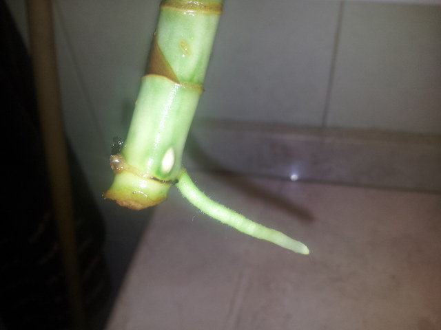 20131001_221421.jpg