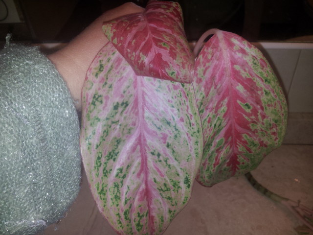 20131001_221413.jpg