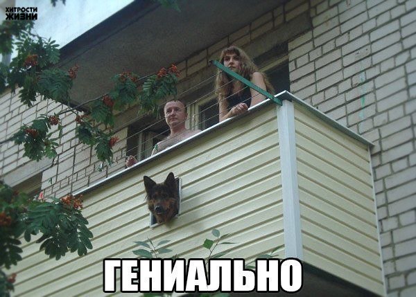 гениально.jpg