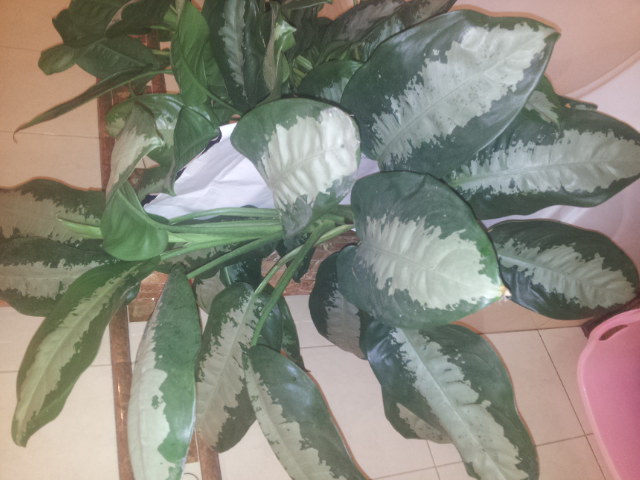 20131004_101939.jpg