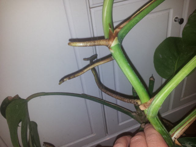 20131004_101733.jpg