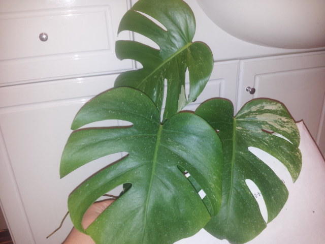 20131004_101701.jpg