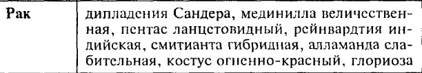 рак1.jpg