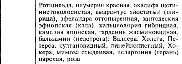 рак2.jpg