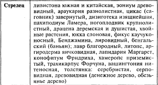 стрелец.jpg