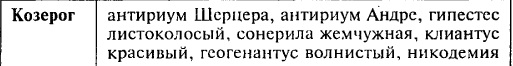 козерог1.jpg
