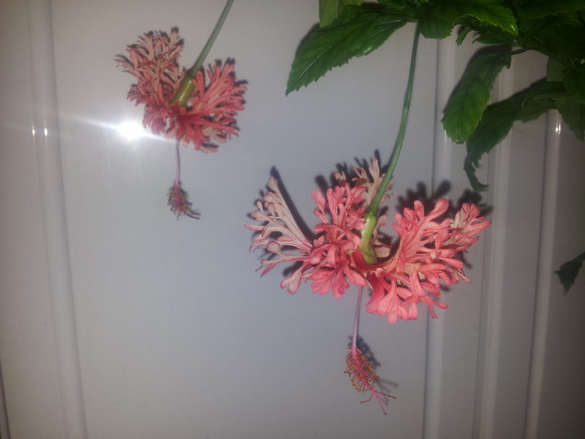 20131005_093527.jpg